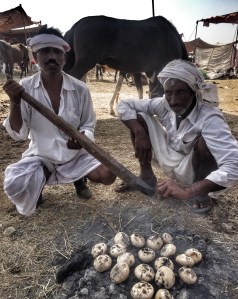 Cow shit bread in the making 